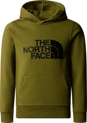 The North Face Boys&#x27; Drew Peak Hoodie Forest Olive | Buy The North Face Boys&#x27; Drew Peak Hoodie Forest Olive here | Outnorth